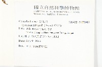 番仔藤藏品圖，第2張