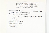 番仔藤藏品圖，第2張