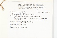 番仔藤藏品圖，第2張