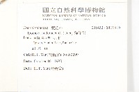 碗仔花藏品圖，第2張