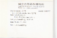 碗仔花藏品圖，第2張