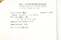 碗仔花藏品圖，第2張