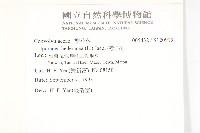 碗仔花藏品圖，第2張