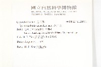 碗仔花藏品圖，第2張