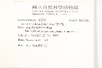 碗仔花藏品圖，第2張