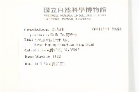 海牽牛藏品圖，第2張