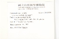 海牽牛藏品圖，第2張