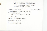 甕菜、空心菜藏品圖，第2張