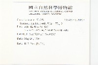 甕菜、空心菜藏品圖，第2張