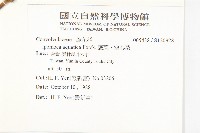 甕菜、空心菜藏品圖，第2張