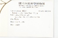 甕菜、空心菜藏品圖，第2張