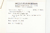 土丁桂藏品圖，第2張