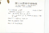 土丁桂藏品圖，第2張