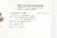 土丁桂藏品圖，第2張