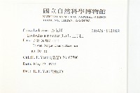 土丁桂藏品圖，第2張