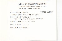 亨利氏伊立基藤藏品圖，第2張