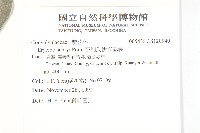 亨利氏伊立基藤藏品圖，第2張