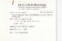 臺灣菟絲子藏品圖，第2張