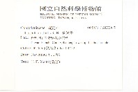 菟絲子藏品圖，第2張