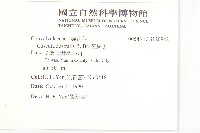 菟絲子藏品圖，第2張