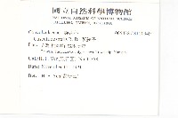 菟絲子藏品圖，第2張