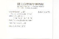 菟絲子藏品圖，第2張