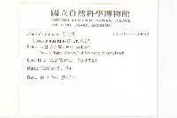 菟絲子藏品圖，第2張