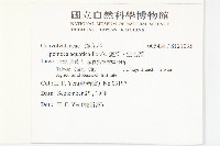 甕菜、空心菜藏品圖，第2張