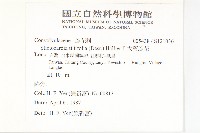 大萼旋花藏品圖，第2張