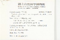 狹葉土丁桂藏品圖，第2張