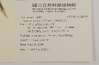 光果南蛇藤藏品圖，第2張