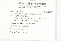 香茹藏品圖，第2張