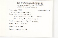 狗娃花藏品圖，第2張