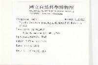 貓腥草藏品圖，第2張