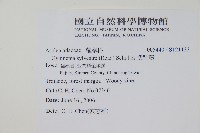 武靴藤藏品圖，第2張