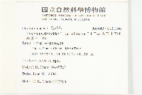 狹葉土丁桂藏品圖，第2張