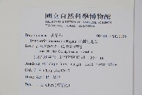 臺灣附地草藏品圖，第2張