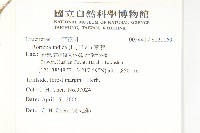 葶藶藏品圖，第2張