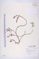 登錄號:S121164藏品圖，第1張