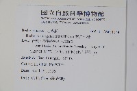 登錄號:S121174藏品圖，第2張