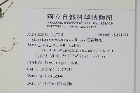 蘭嵌馬藍藏品圖，第2張