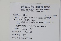 曲莖馬藍藏品圖，第2張