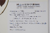 爬森藤藏品圖，第2張