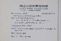 滿福木藏品圖，第2張