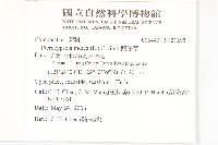 鵝仔草藏品圖，第2張