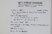 早田氏爵床藏品圖，第2張