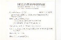 馬鞍藤藏品圖，第2張