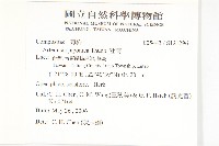 牡蒿藏品圖，第2張