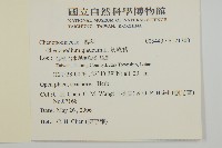 灰綠藜藏品圖，第2張