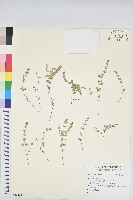 登錄號:S121315藏品圖，第1張